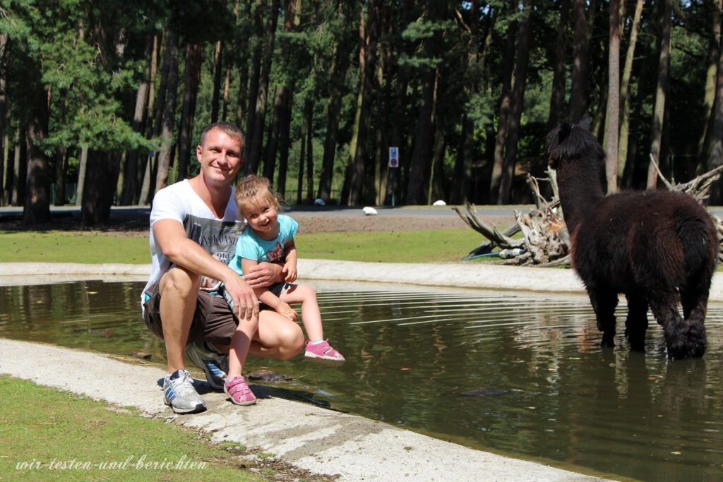 Freizeitbericht Safari Abenteuer Im Serengeti Park Hodenhagen