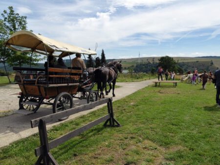 Elldus Resort Reisebericht (12)