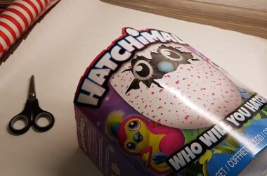 Hatchimals Erfahrung Testbericht 4