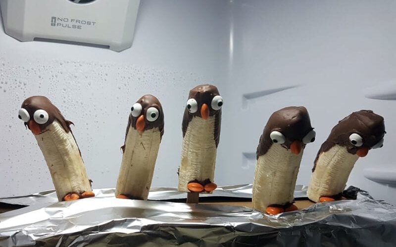 Bananen Pinguine mit Schokolade