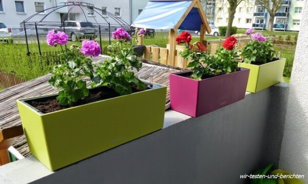LECHUZA Blumenkasten
