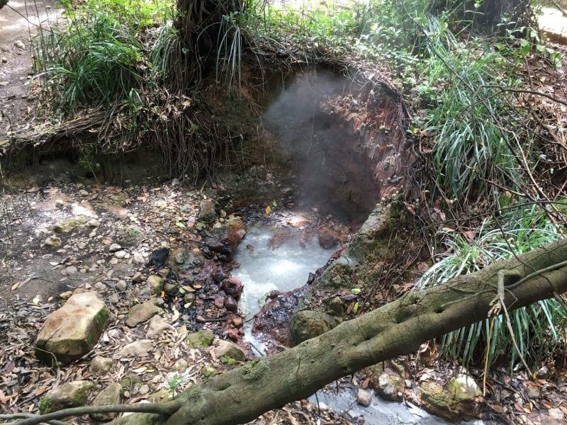 Sulfur Springs Schwefelquellen Dominica. AIDA Reisebericht & Erfahrungen