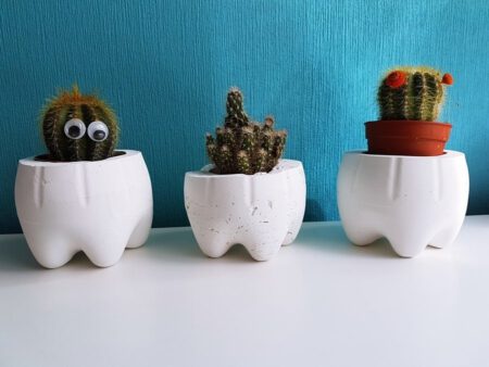 DIY Moltofill Blitzzement Blumentopf Kaktus
