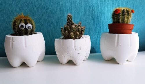 DIY Moltofill Blitzzement Blumentopf Kaktus