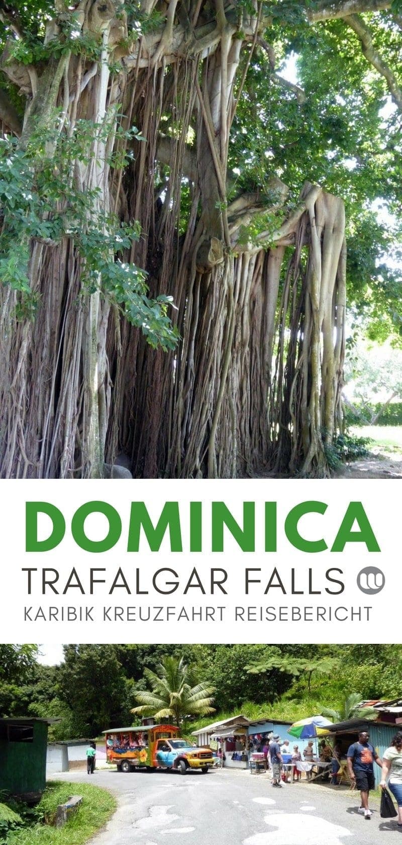 Dominica Ausflug Trafalgar Falls