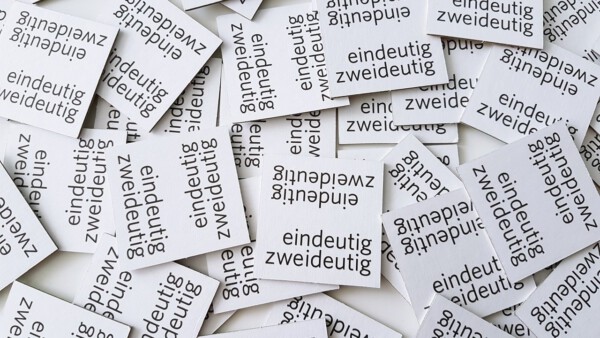 Memo Spiel für Fortgeschrittene Eindeutig zweideutig piatnik