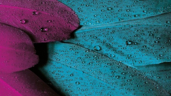 Hintergrund violett min