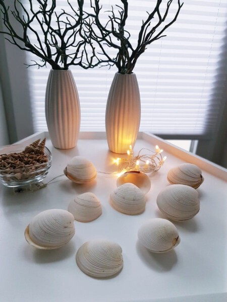 DIY Muschel-Lichterkette: Strand Dekoration basteln