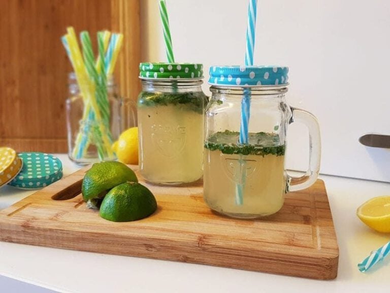 Hausgemachte Limonade: Erfrischend Rezepte zum selbermachen